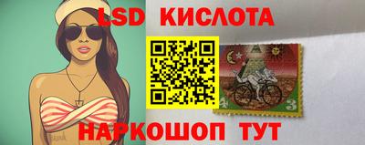 стафф Новозыбков