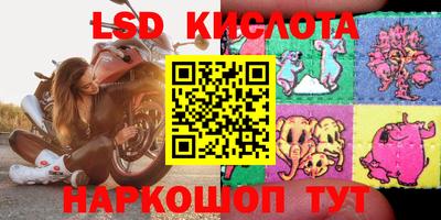 стафф Новозыбков