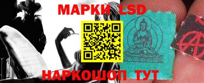 стафф Новозыбков