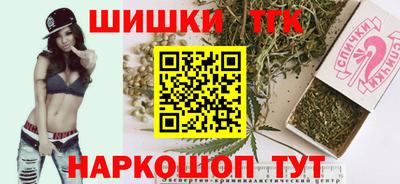 спиды Новодвинск
