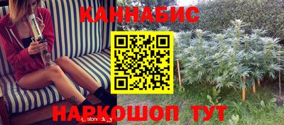 спиды Новодвинск
