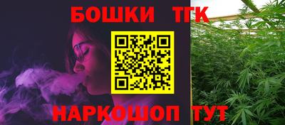 спиды Новодвинск