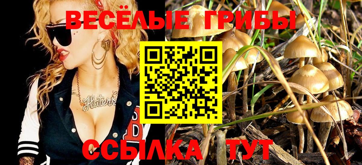 Псилоцибиновые грибы ЛСД Спасск-Дальний